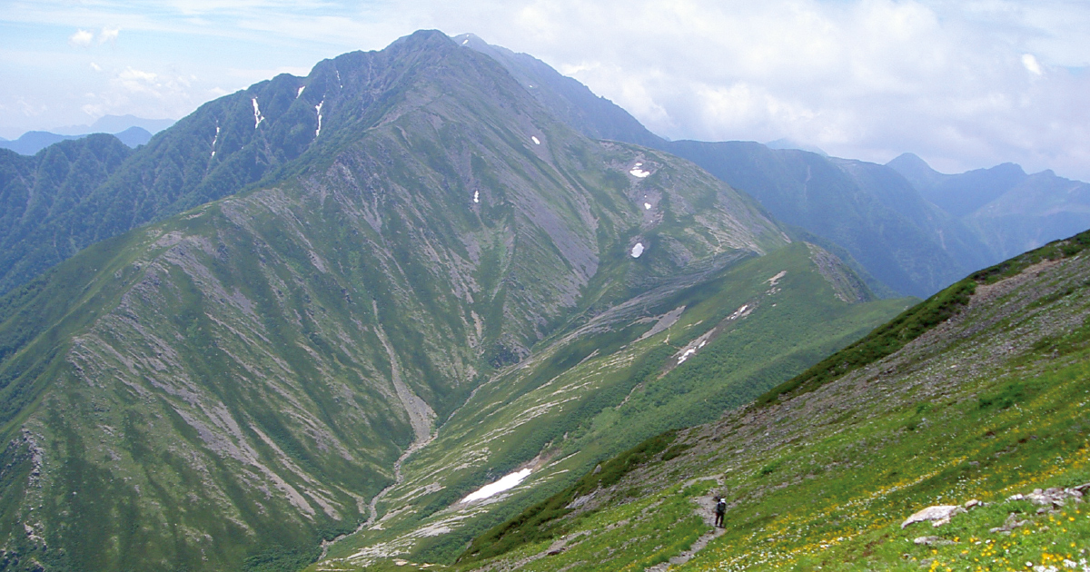南アルプスの大自然をいつまでもそのままに ―120年余りにわたって護ってきた「井川社有林」の歴史と現在―