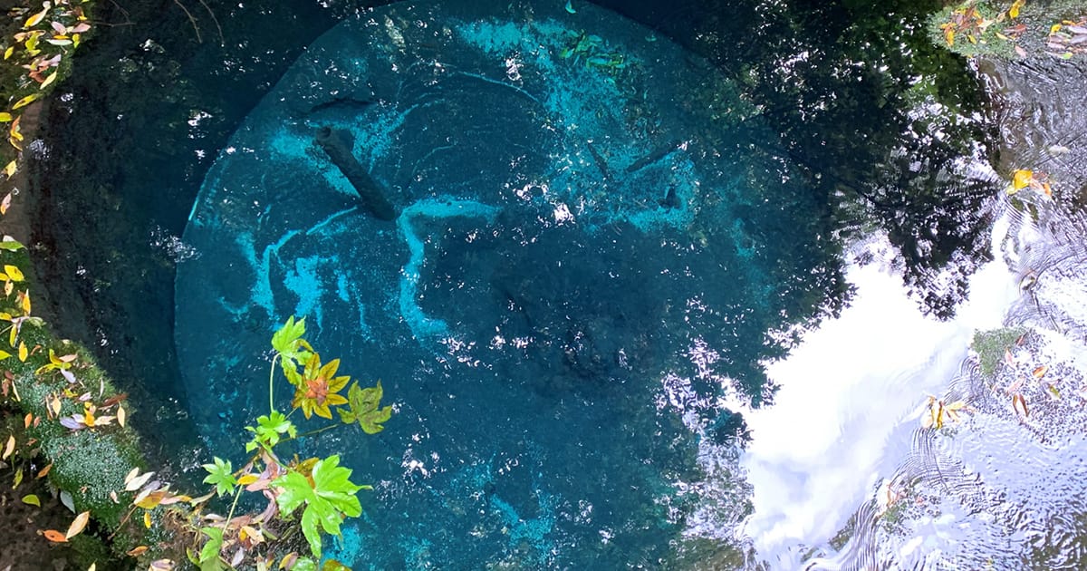 製紙産業に欠かせない「きれいな水」はどこから？ 紙づくりを支える、2つの清流