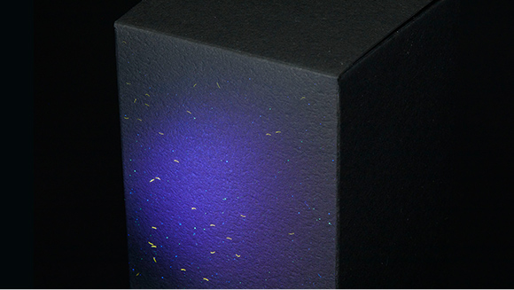 TT-SECURITY TOP img.jpg