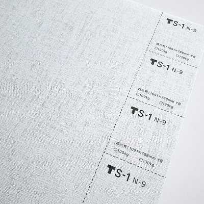 タントセレクトTS-1_紙の表面_エンボス